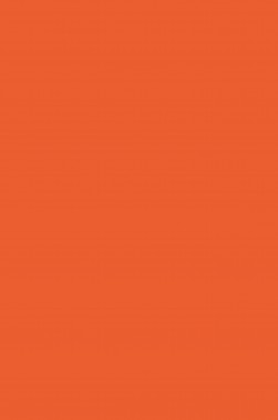 Derivan Screen Ink: Bright Orange 250ml