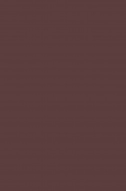 Derivan Screen Ink: Brown 250ml