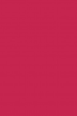 Derivan Screen Ink: Bright Red 250ml