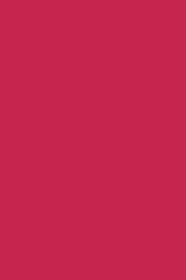 Derivan Screen Ink: Bright Red 250ml