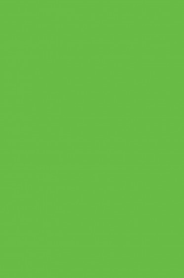 Derivan Screen Ink: Fluorescent Green 250ml