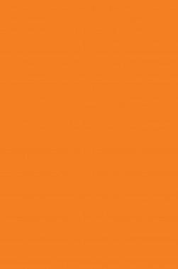 Derivan Screen Ink: Fluorescent Orange 250ml