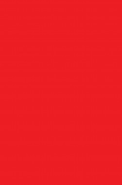 Derivan Screen Ink: Fluorescent Red 250ml