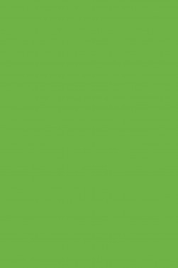 Derivan Screen Ink: Green Light 250ml