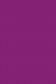 Sakura Acrylic Color: Red Violet 20ml