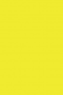 Derivan Screen Ink: Lemon Yellow 250ml