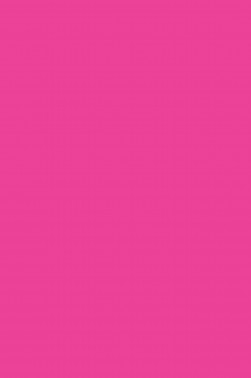 Sakura Acrylic Color: Rose 20ml