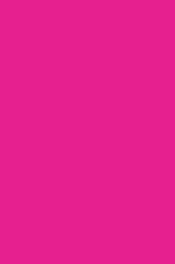 Nara Polymer Clay: Hot Pink 55 grams