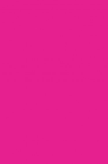 Nara Polymer Clay: Hot Pink 55 grams