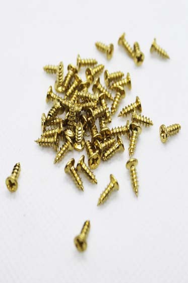 TOPS  Gold Screw Small 10pcs
