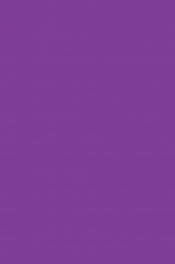 Sakura Acrylic Color: Violet 20ml