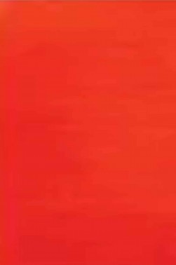 Sakura Koi Watercolor Half-Pan Refill: Permanent Red Light