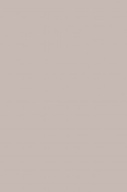 Sakura Acrylic Color: Warm Gray 20ml