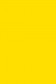 Sakura Acrylic Color: Yellow 20ml