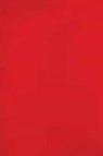 Sakura Koi Watercolor Half-Pan Refill: Permanent Red Deep