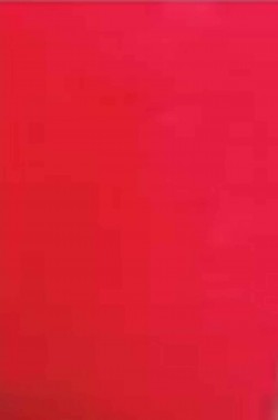 Sakura Koi Watercolor Half-Pan Refill: Madder Lake Light