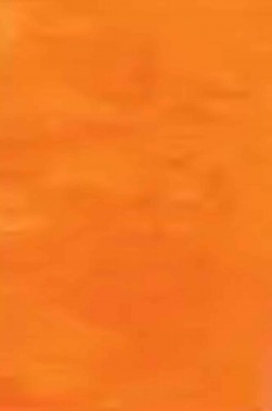 Sakura Koi Watercolor Half-Pan Refill: Fluorescent Orange