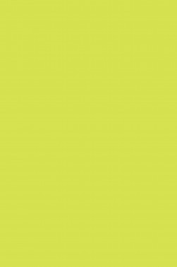 Sakura Acrylic Color: Yellow Green 20ml