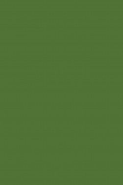 Sakura Acrylic Color: Permanent Green 75ml