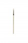 Weber Permalba Brush: White Bristle Round 6