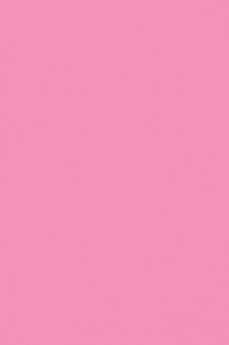 Maries Master Oil: Magenta Light  303 200ml