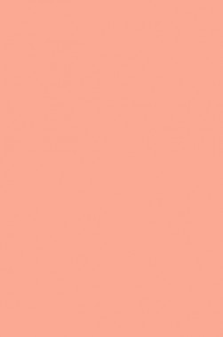 Maries Master Oil: Flesh Tint (Portrait Tone) 219 200ml