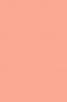 Maries Master Oil: Flesh Tint (Portrait Tone) 219 200ml