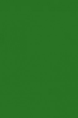 Maries Master Oil: Maries Green 571 60ml