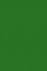 Maries Master Oil: Maries Green 571 60ml