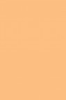 Colleen Poster Color: Pale Orange 12ml