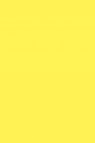 Colleen Poster Color: Lemon Yellow 12ml