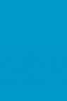 Colleen Poster Color: Fluorescent Blue 12ml