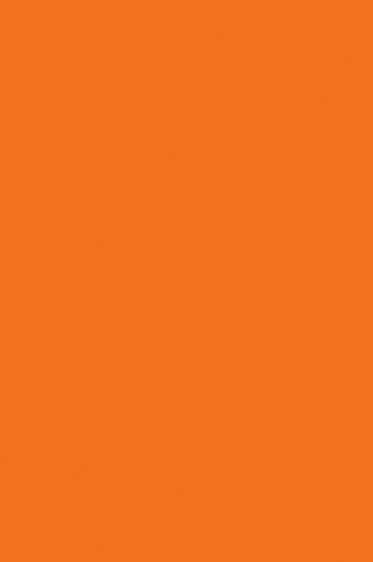 Colleen Poster Color: Fluorescent Orange 12ml