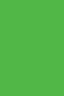 Colleen Poster Color: Fluorescent Green 12ml