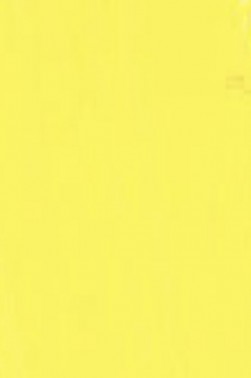 Golden Heavy Body Acrylic: Bismuth Vanadate Yellow 59ml