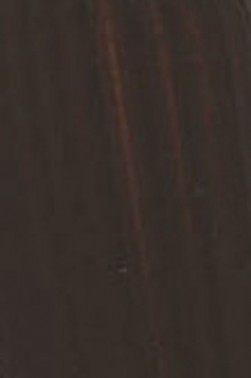 Golden Heavy Body Acrylic: Burnt Umber Light 59ml