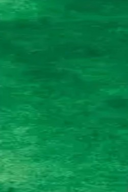 Sakura Koi Watercolor Half-Pan Refill: Terre Verte