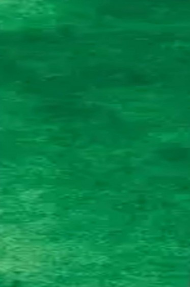 Sakura Koi Watercolor Half-Pan Refill: Terre Verte