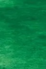 Sakura Koi Watercolor Half-Pan Refill: Terre Verte