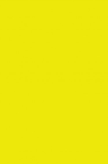 Colleen Poster Color: Fluorecent Yellow 12ml