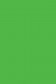 Colleen Poster Color: Fluorescent Green 12ml