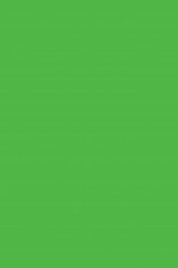 Colleen Poster Color: Fluorescent Green 30ml