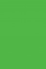 Colleen Poster Color: Fluorescent Green 30ml