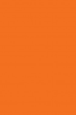 Colleen Poster Color: Fluorescent Orange 30ml