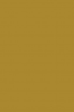 Colleen Poster Color: Gold 30ml