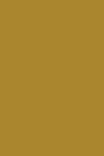 Colleen Poster Color: Gold 30ml