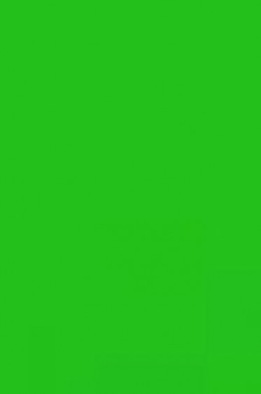 Colleen Poster Color: Green 30ml