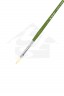 XDT Quality Brush: 515 Bristle Filbert Brush 5