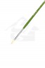 XDT Quality Brush: 515 Bristle Filbert Brush 4