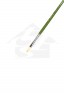 XDT Quality Brush: 515 Bristle Filbert Brush 7